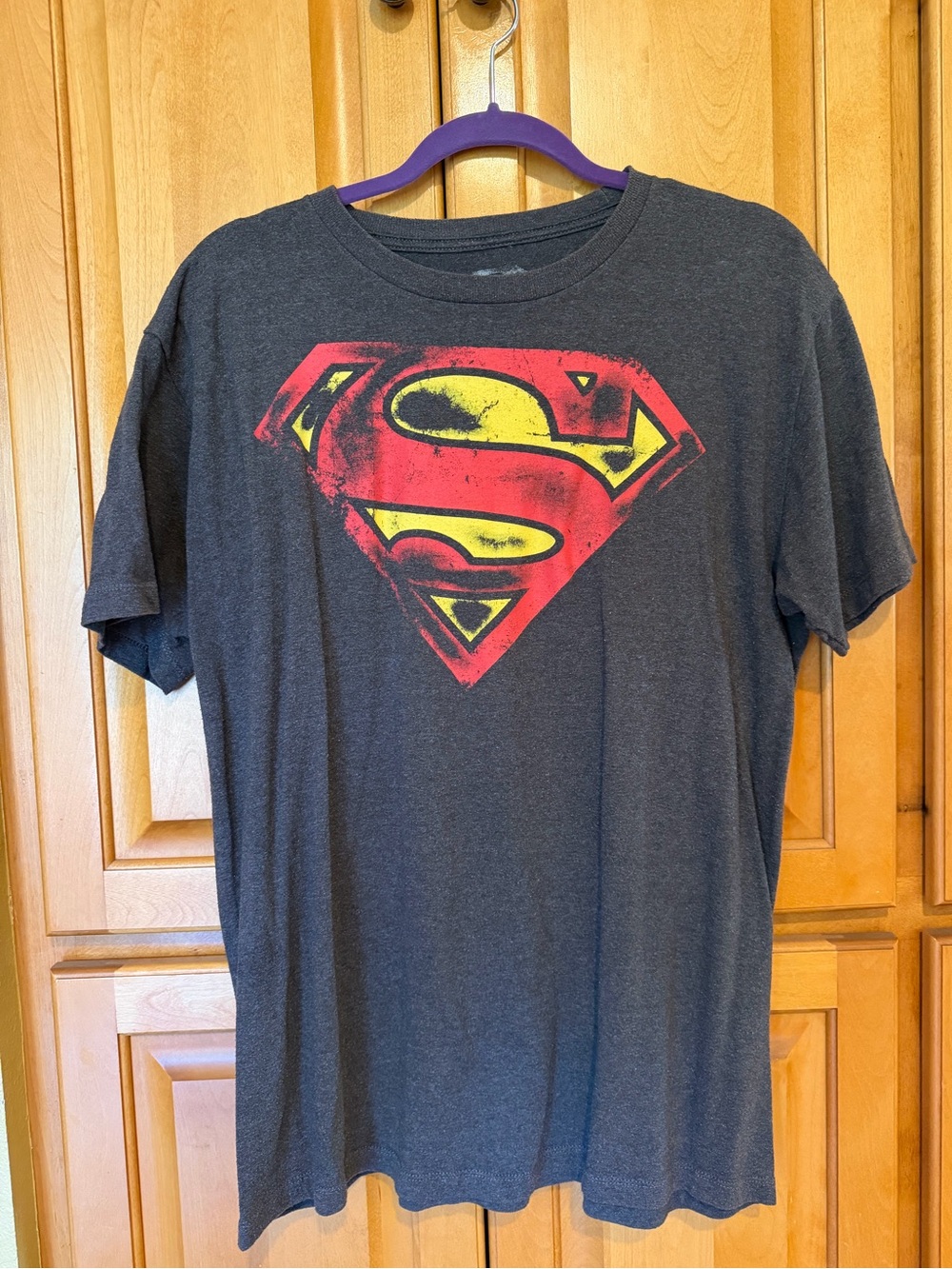 DC Comics Superman Logo Graphic T-Shirt